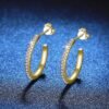 aretes_foto delante
