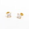 aretes_foto principal