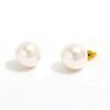 aretes_foto principal