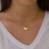 collar_modelo 2